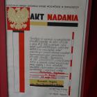zdjęcie nr 8