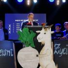 zdjęcie nr 17