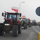 zdjęcie nr 45