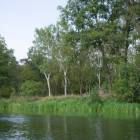 zdjęcie nr 47
