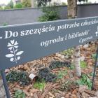 zdjęcie nr 14