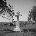 zdjęcie nr 21