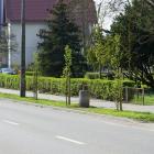 Fotka nr 1 z 13