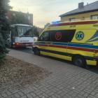 Fotka nr 2 z 4