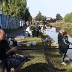 zdjęcie nr 30
