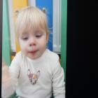 zdjęcie nr 15