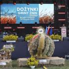 zdjęcie nr 32