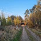 Fotka nr 4 z 13
