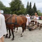 zdjęcie nr 28