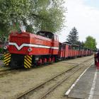zdjęcie nr 50