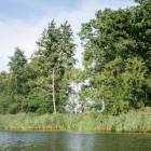 zdjęcie nr 42