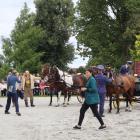 zdjęcie nr 62
