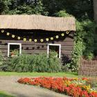 zdjęcie nr 48