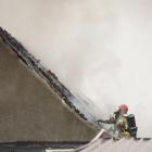 Fotka nr 4 z 12