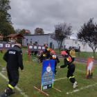 Fotka nr 1 z 11