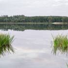 zdjęcie nr 30