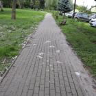 zdjęcie nr 9