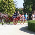 zdjęcie nr 20