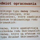 Fotka nr 3 z 19