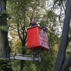 zdjęcie nr 31