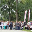 zdjęcie nr 29