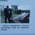 zdjęcie nr 13