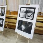 Fotka nr 4 z 14