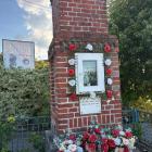 zdjęcie nr 41