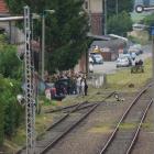 zdjęcie nr 13