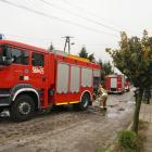 Fotka nr 1 z 12
