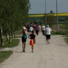 zdjęcie nr 187