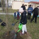 zdjęcie nr 31