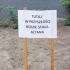 zdjęcie nr 10