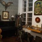 zdjęcie nr 53