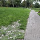 zdjęcie nr 7