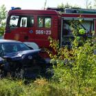 Fotka nr 5 z 8