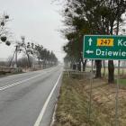 Po prawej stronie wojewódzkiej drogi nr 247 być może stanie biometanownia. fot. Cezary...