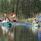 zdjęcie nr 30