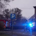 zdjęcie nr 8