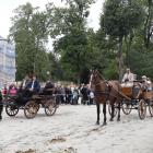 zdjęcie nr 46