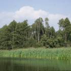 zdjęcie nr 44