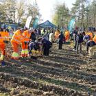 zdjęcie nr 55