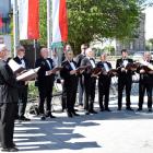 zdjęcie nr 214