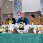 zdjęcie nr 24