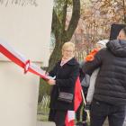 zdjęcie nr 27