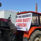 zdjęcie nr 59