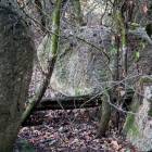 zdjęcie nr 27