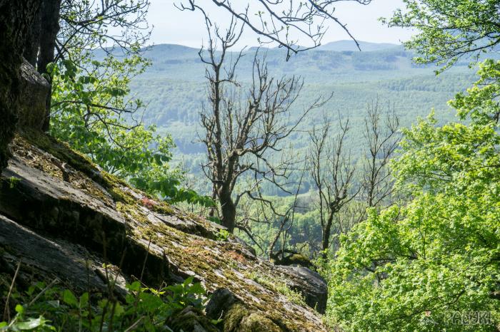 Kámen na vrcholu Starého Pláště 13.května 2017, 10.17, foto Dominik Księski