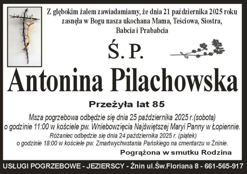 Antonina  Pilachowska 