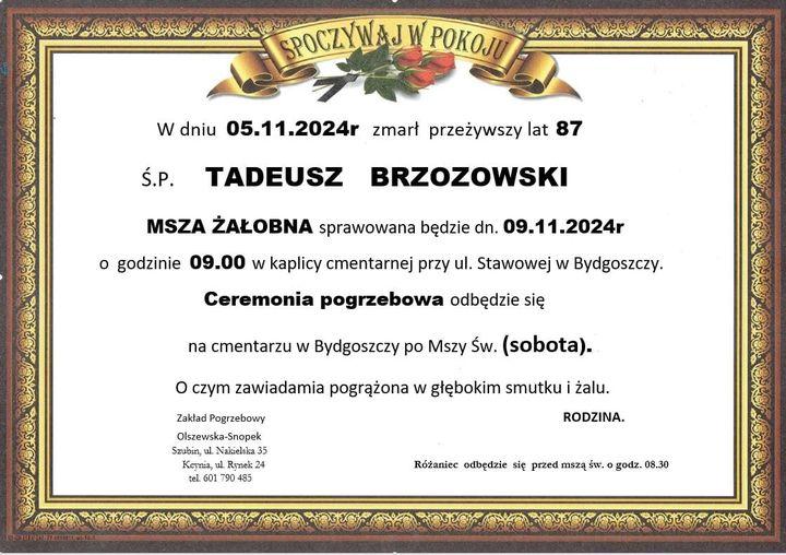 Tadeusz Brzozowski